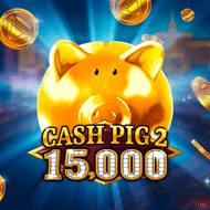 Cash Pig 2 screenshot