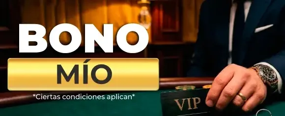 Bono Referido Maestro promotion